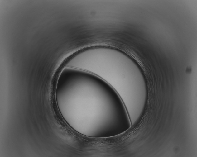X0000091730724200708241043