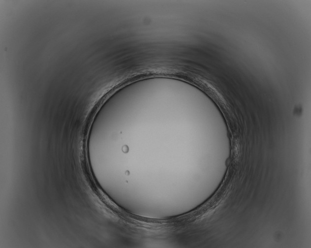 X0000091730725200708241043