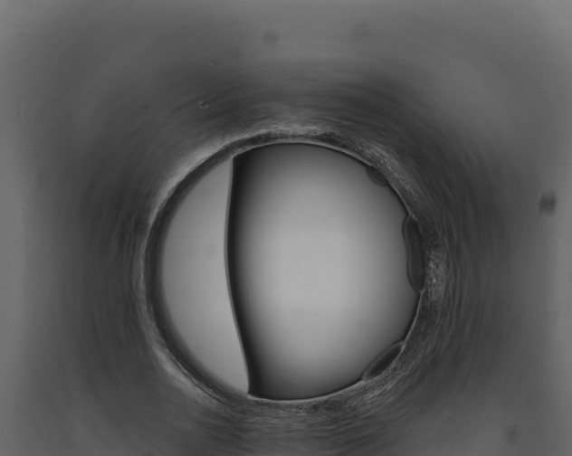 X0000091730726200708241043