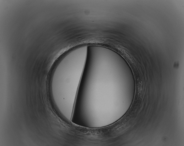 X0000091730727200708241043