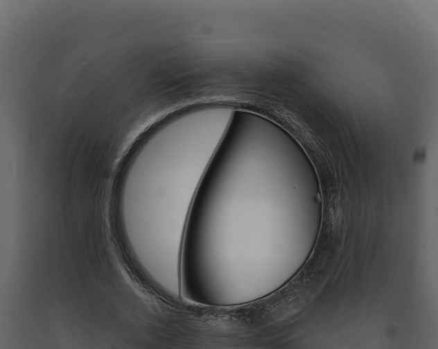 X0000091730728200708241043