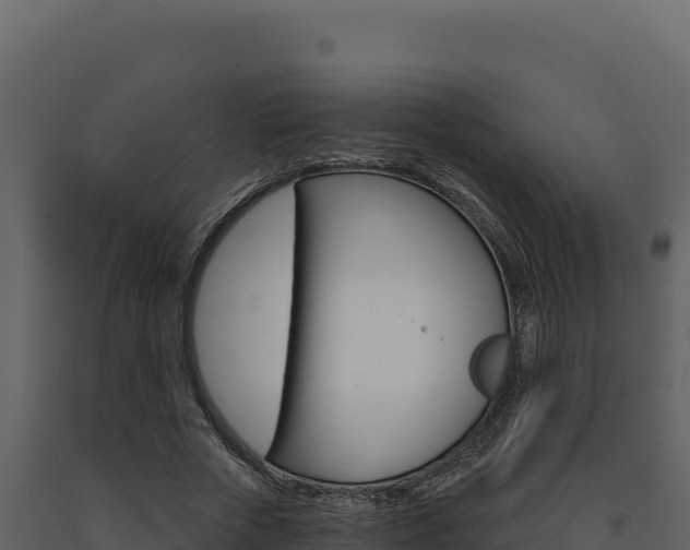 X0000091730729200708241043