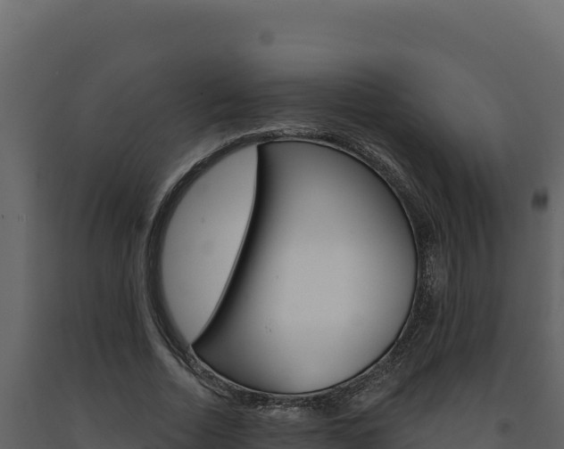 X0000091730730200708241043