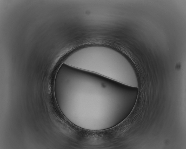 X0000091730731200708241043