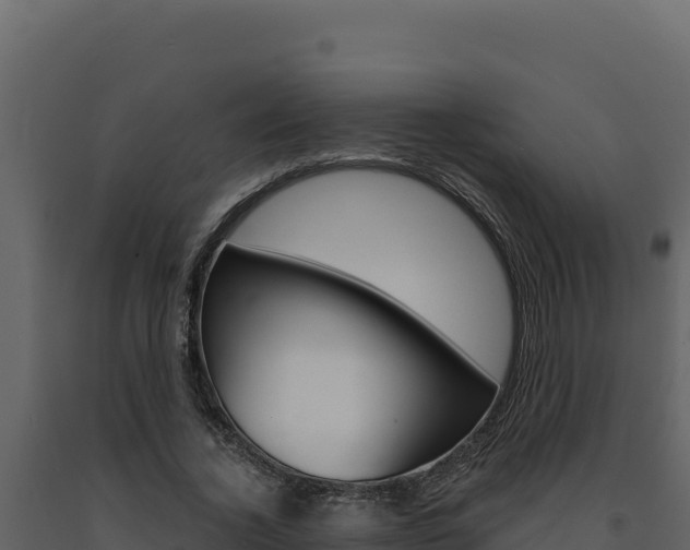 X0000091730732200708241043