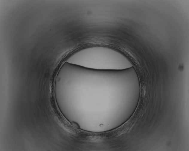 X0000091730733200708241043