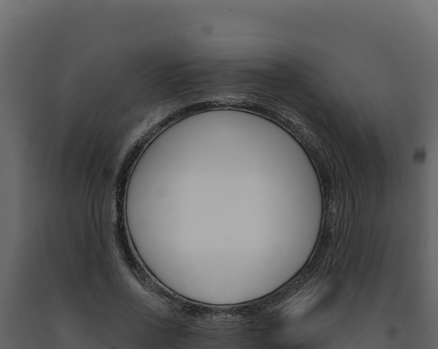 X0000091730734200708241043