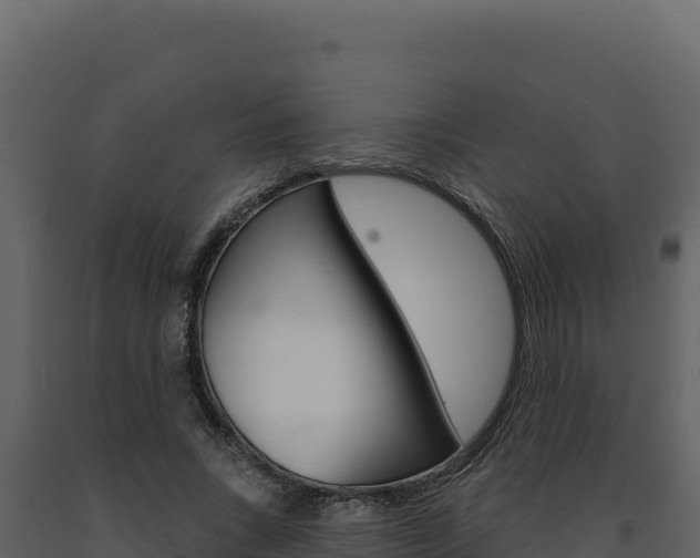 X0000091730735200708241043