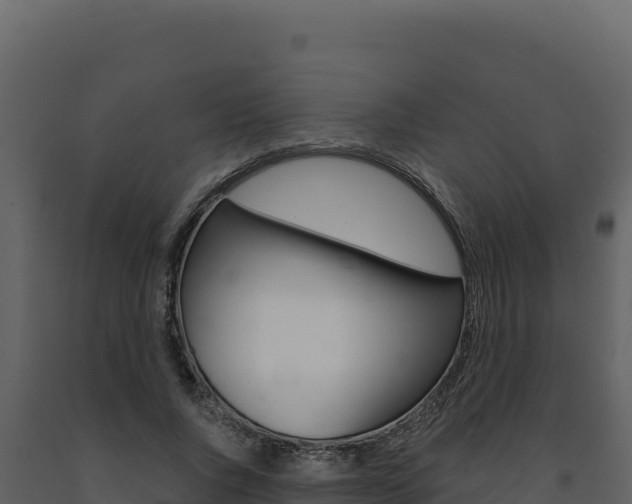 X0000091730736200708241043