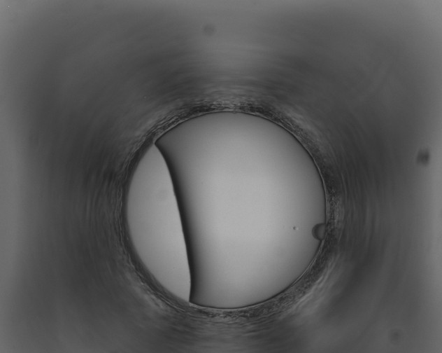 X0000091730737200708241043