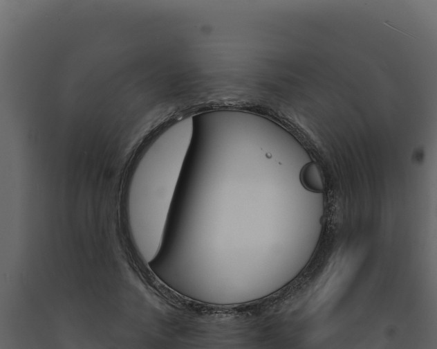 X0000091730738200708241043