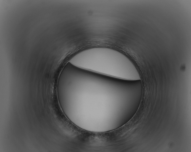 X0000091730739200708241043