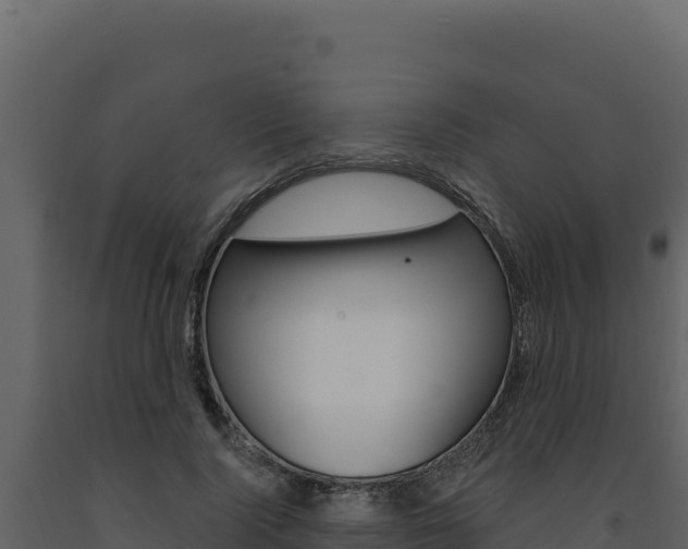 X0000091730740200708241043