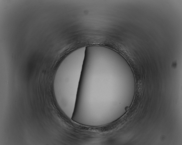 X0000091730741200708241043