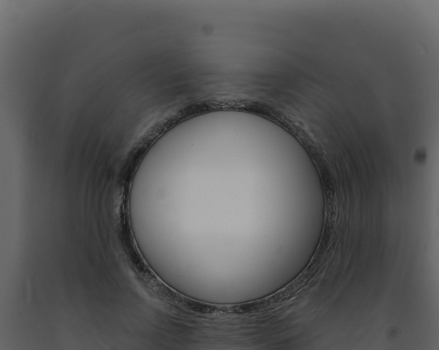 X0000091730742200708241043