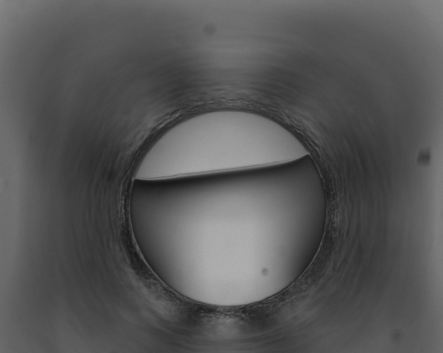 X0000091730743200708241043