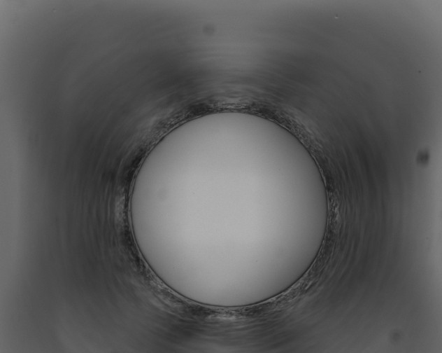 X0000091730745200708241043