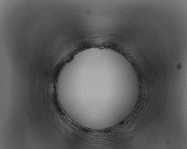 X0000091730746200708241043