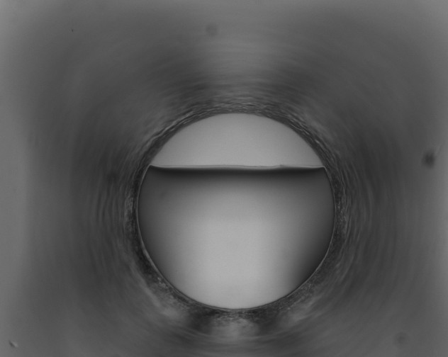 X0000091730747200708241043