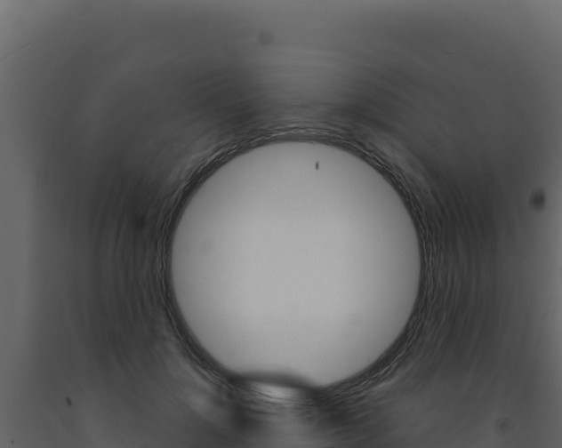 X0000091730748200708241043