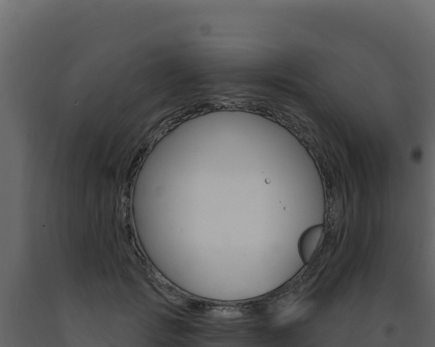 X0000091730749200708241043
