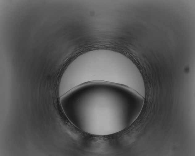 X0000091730750200708241043