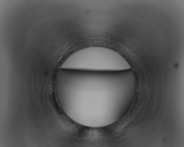 X0000091730751200708241043