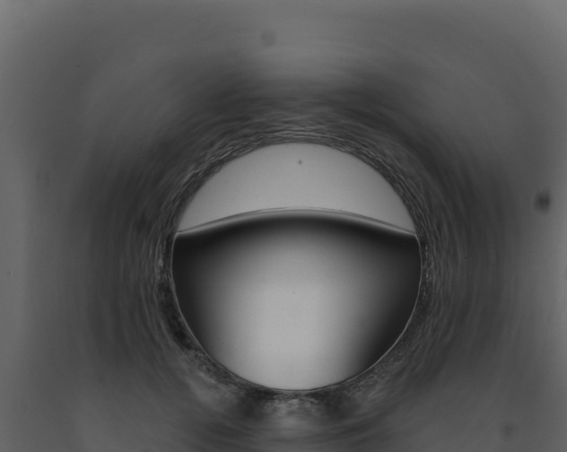 X0000091730752200708241043