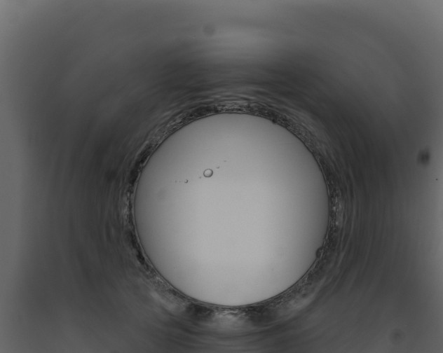 X0000091730753200708241043