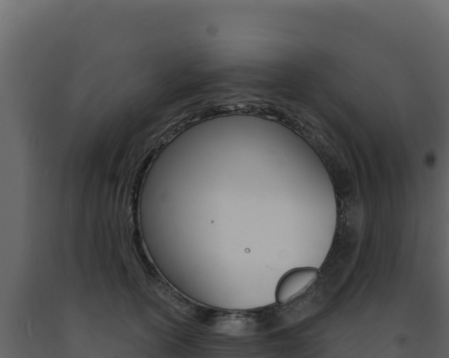 X0000091730754200708241043