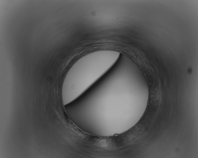 X0000091730755200708241043
