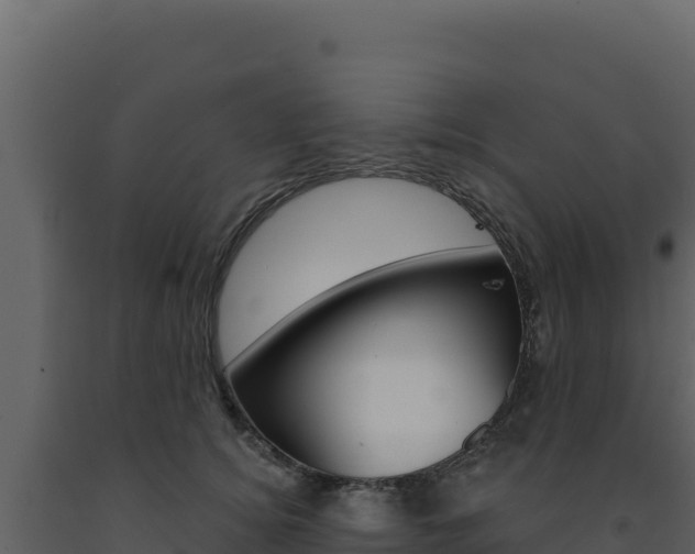 X0000091730756200708241043