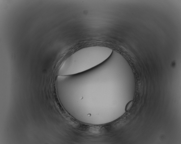 X0000091730757200708241043