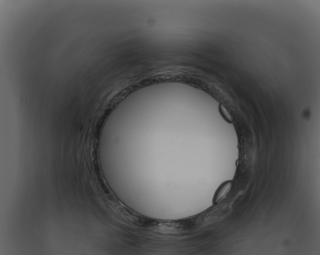 X0000091730758200708241043