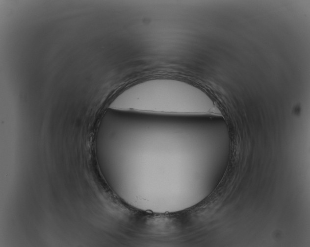 X0000091730759200708241043