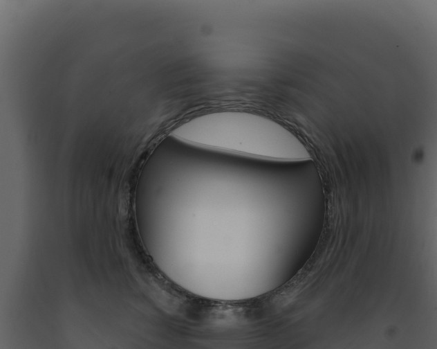 X0000091730760200708241044