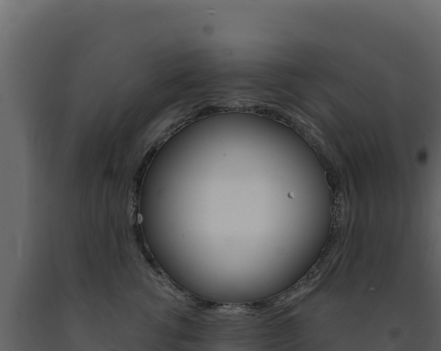 X0000091730762200708241044