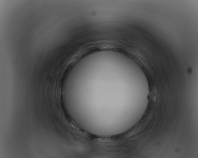 X0000091730763200708241044