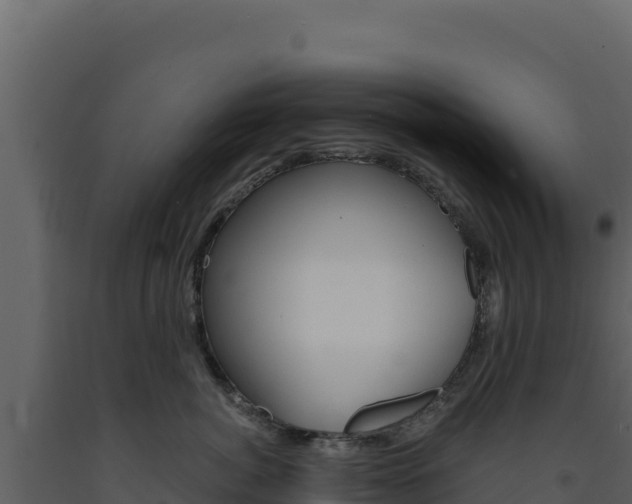 X0000091730764200708241044
