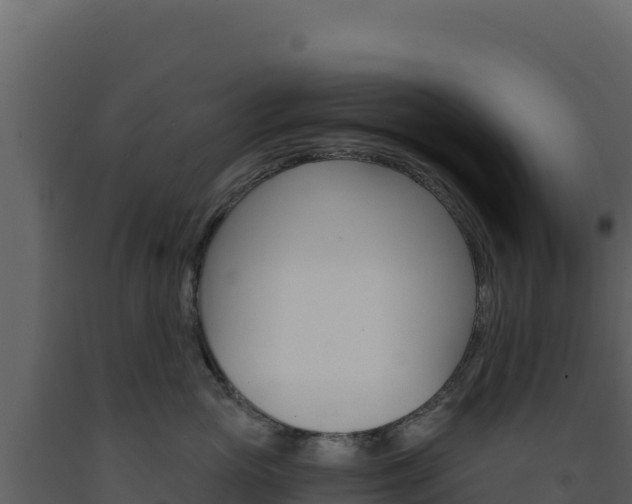 X0000091730765200708241044