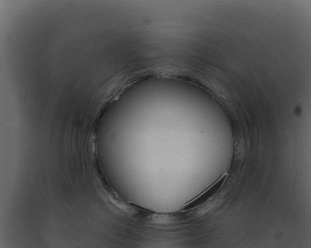 X0000091730766200708241044