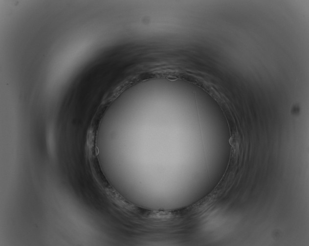 X0000091730767200708241044