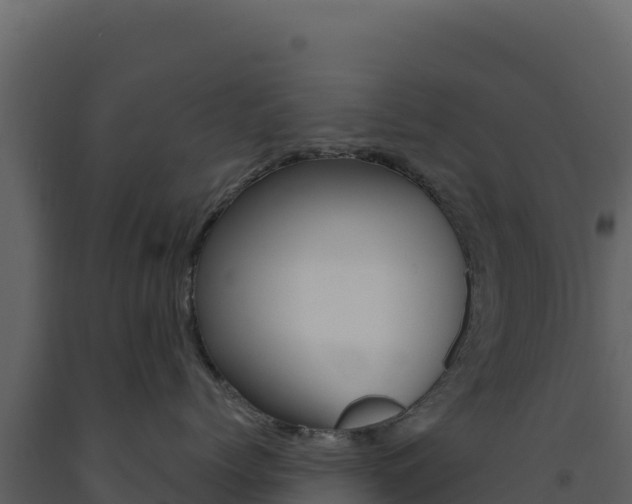 X0000091730768200708241044