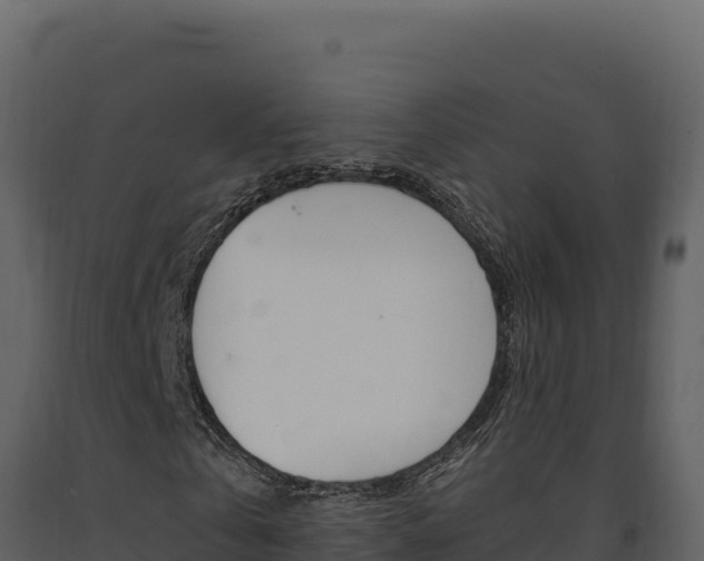 X0000091730769200708241043