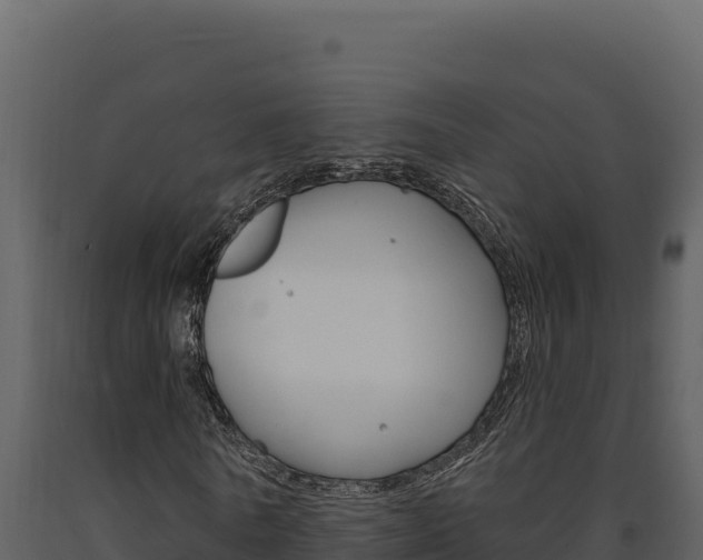 X0000091730770200708241043