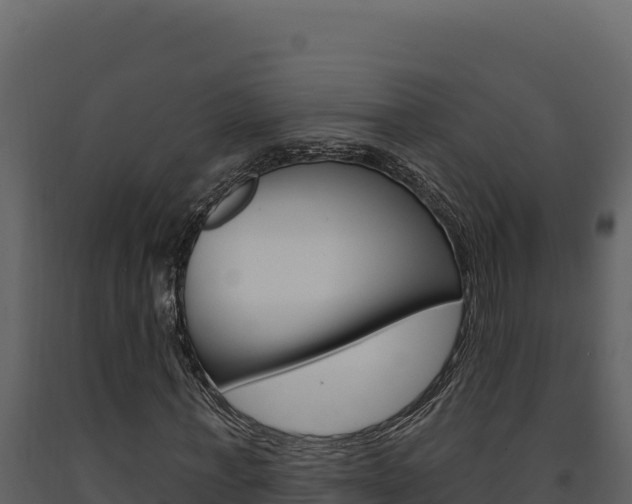 X0000091730771200708241043