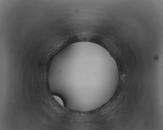 X0000091730772200708241043