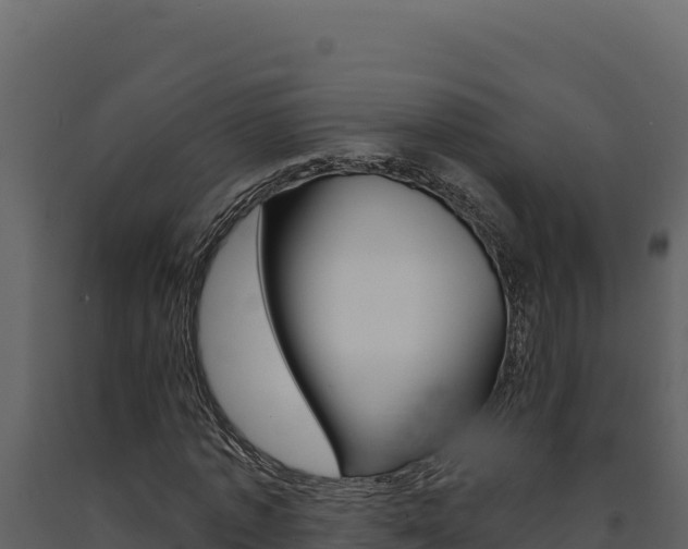 X0000091730773200708241043