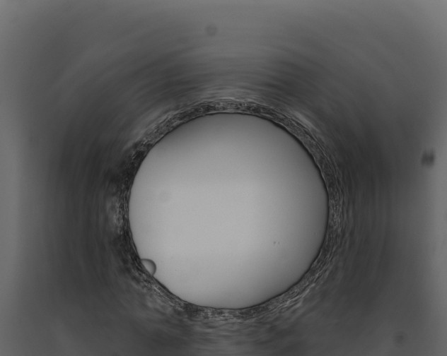X0000091730774200708241043