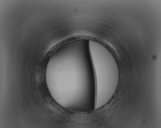 X0000091730775200708241043